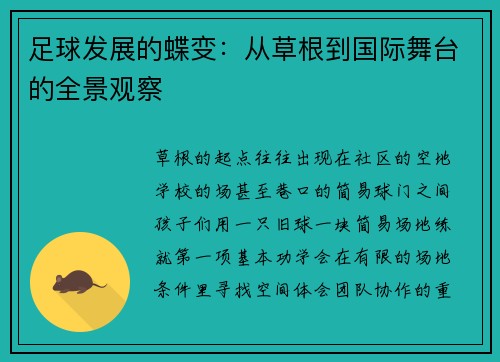 足球发展的蝶变：从草根到国际舞台的全景观察